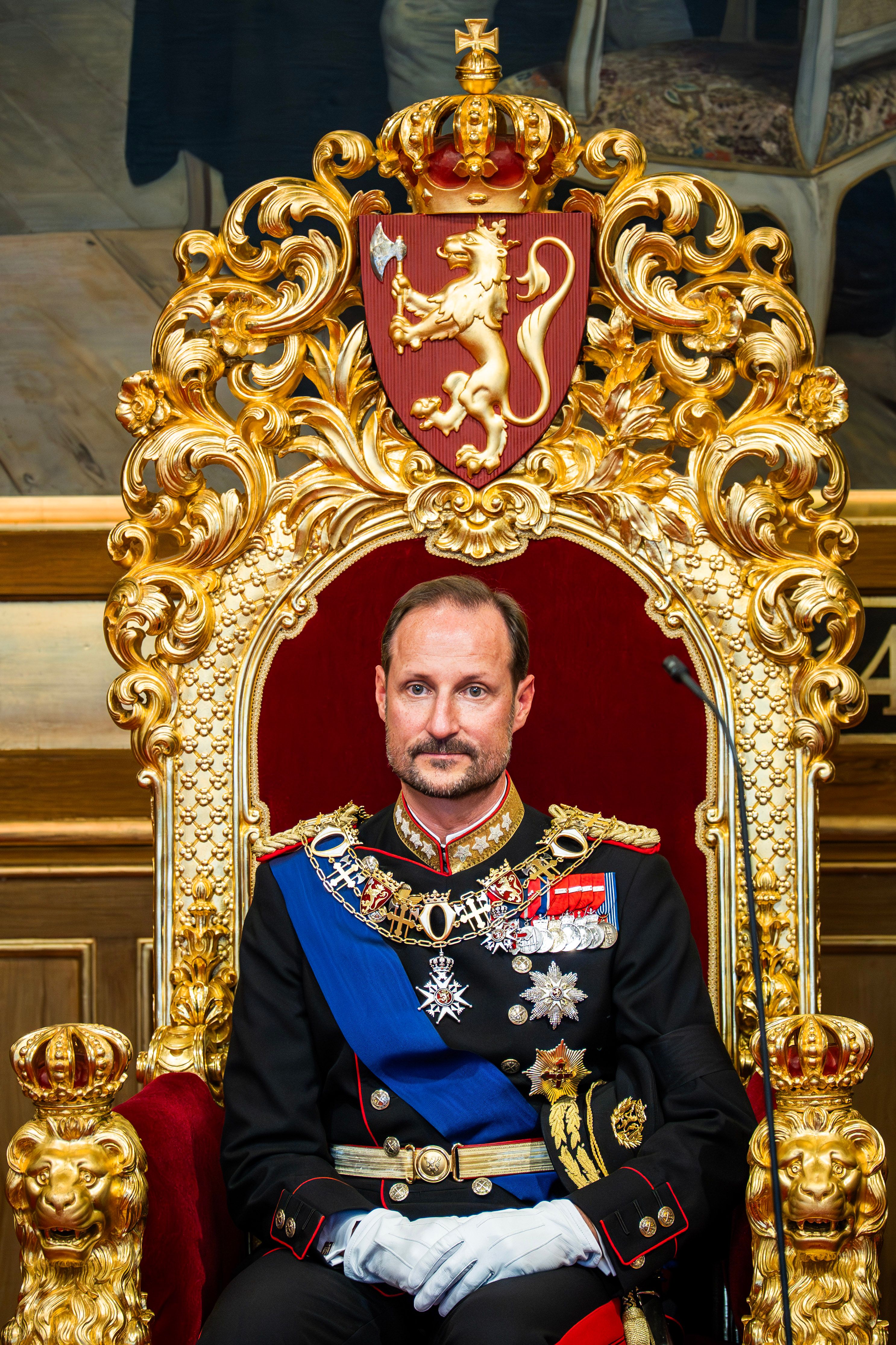 Kongen sitter på tronstolen i gallauniform. Stolen er forgyllet, er trukket i vinrødt og har mye ornamentikk. Tydligst er det store riksvåpenet øverst i rødt og gull.