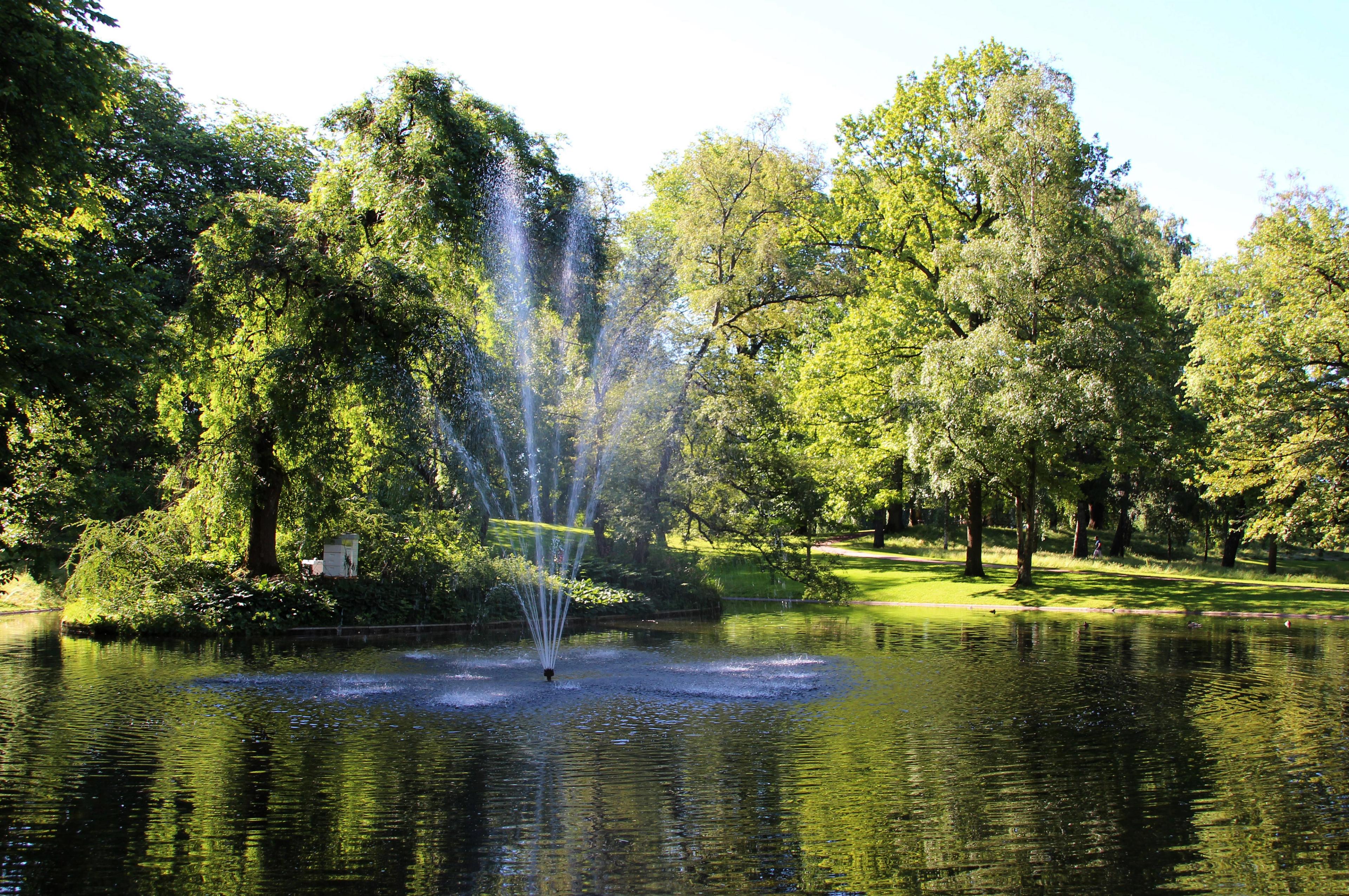 En fontene i en dam kaster vann høyt opp i luften. Store, grønne trær omgir dammen og speiler seg i vannflaten.