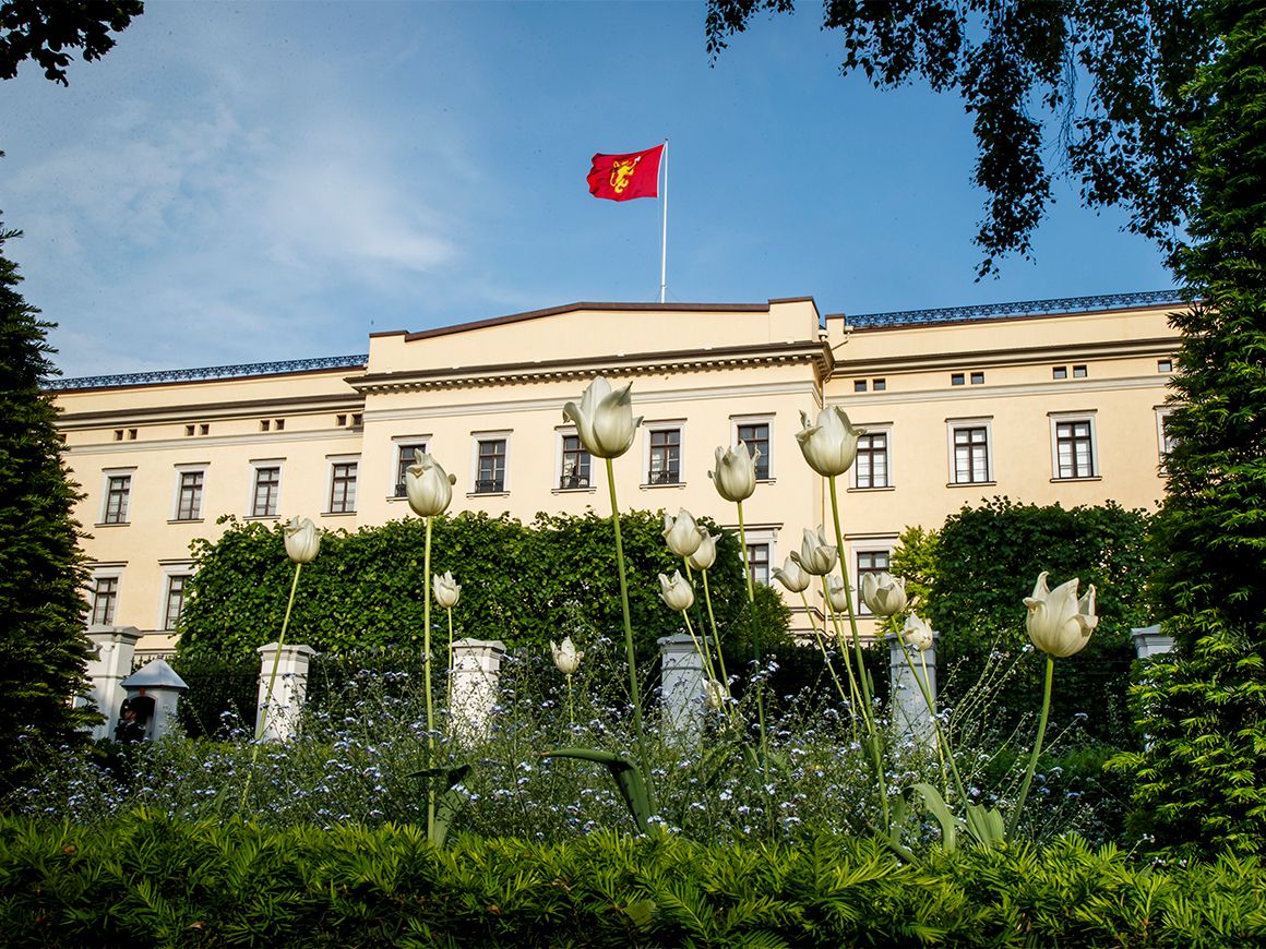 Slottet sett fra baksiden. Kongeflagget vaier over taket. Hvite tulipaner i forgrunnen.