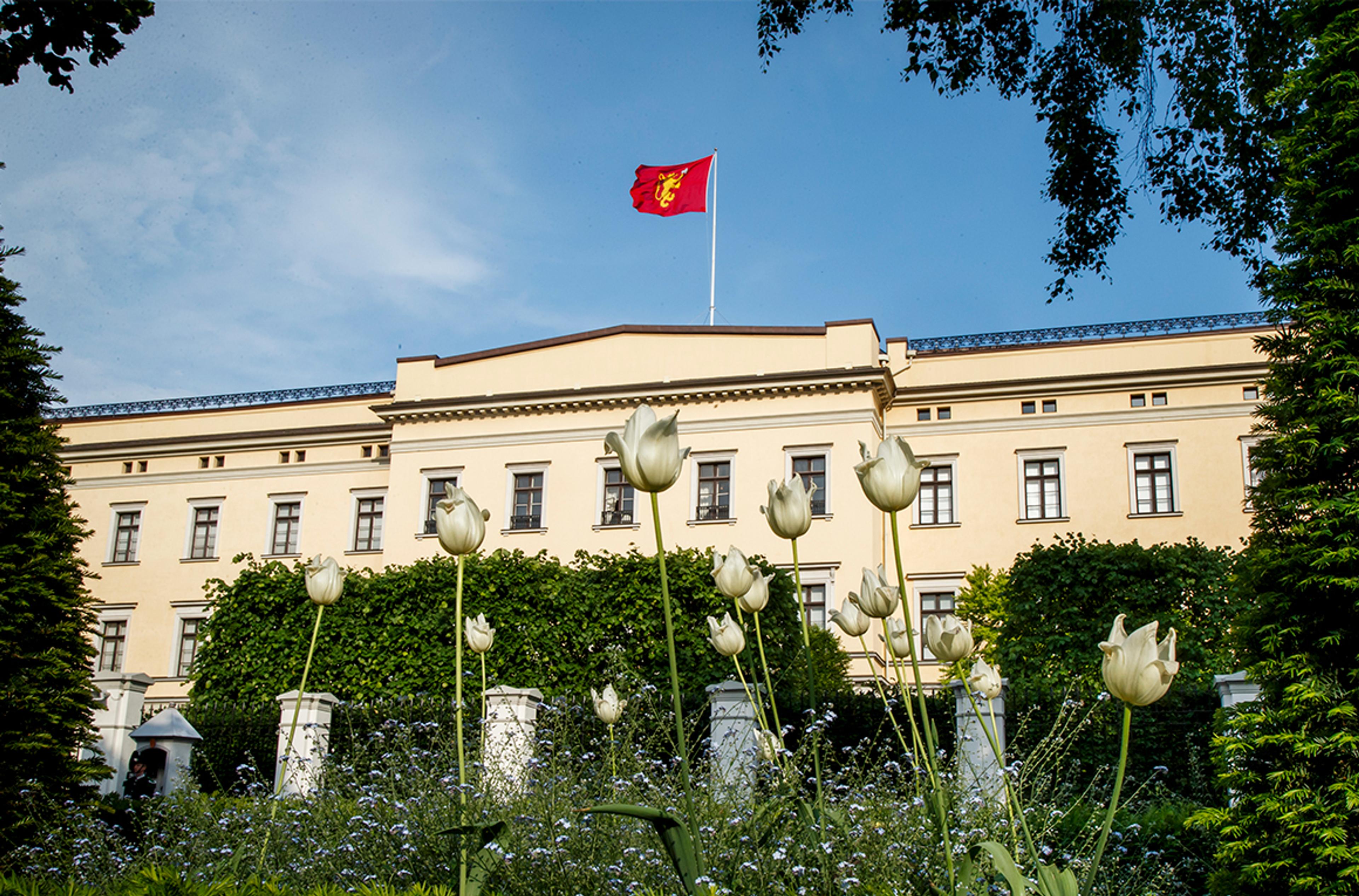 Slottet sett fra baksiden. Kongeflagget vaier over taket. Hvite tulipaner i forgrunnen.
