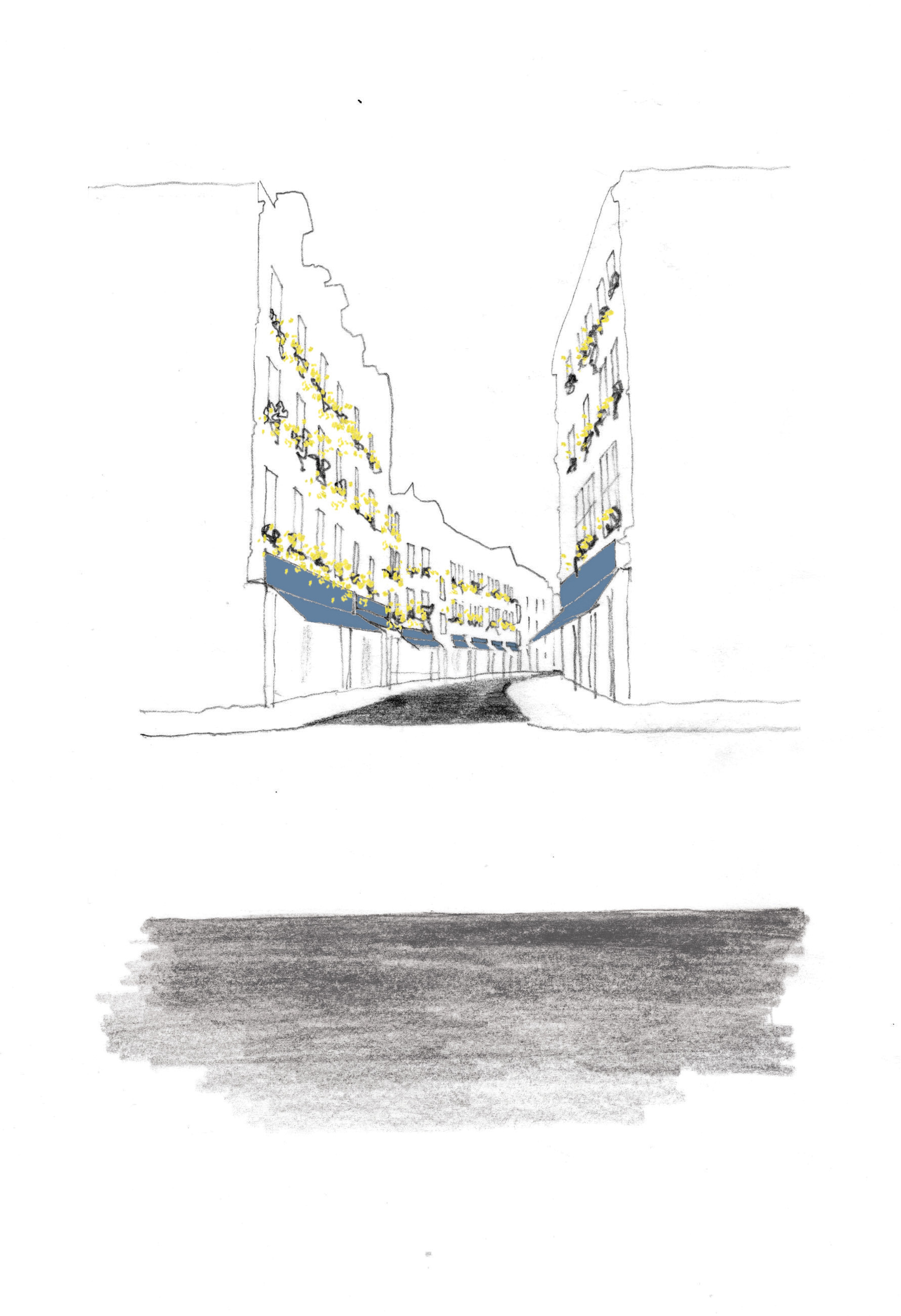 Drawing of Marylebone lane showing row of buildings and yellow plants in windows.