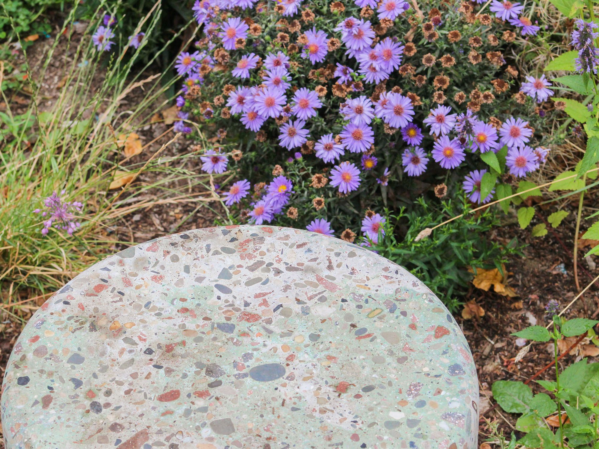 Close up photo of purple flowers next to a stone structure.