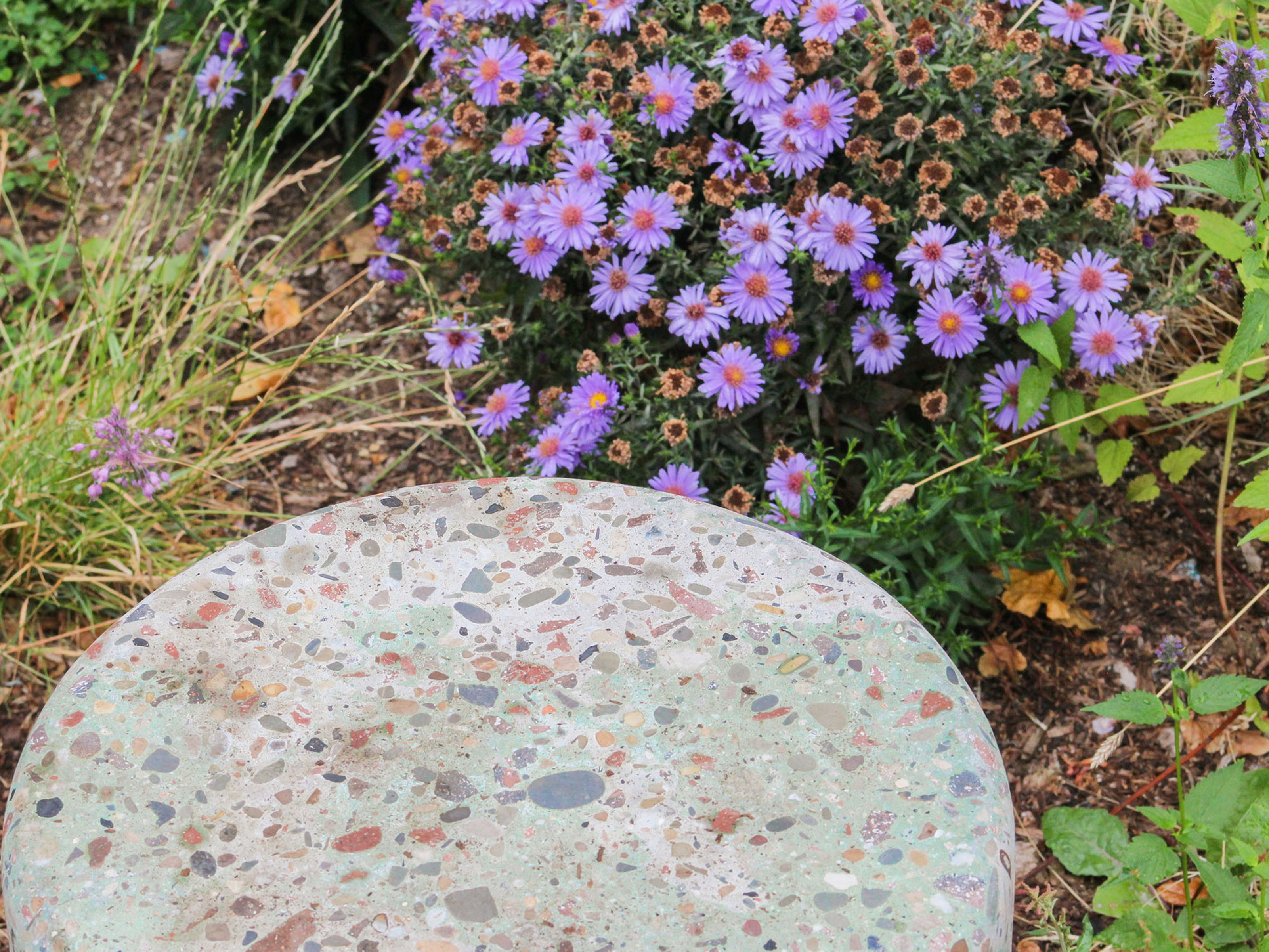Close up photo of purple flowers next to a stone structure.