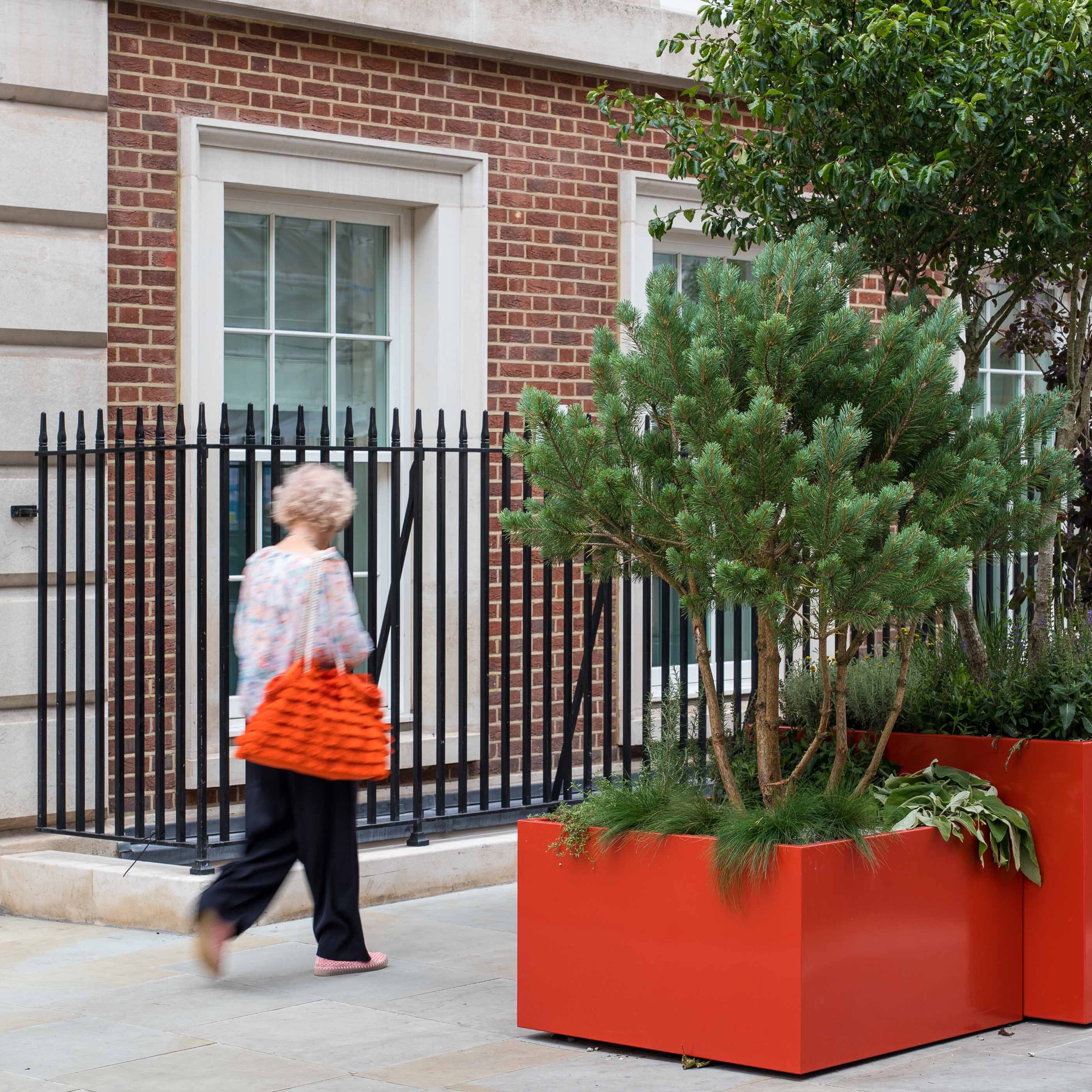 Photograph of a woman walking past plants in orange planters.