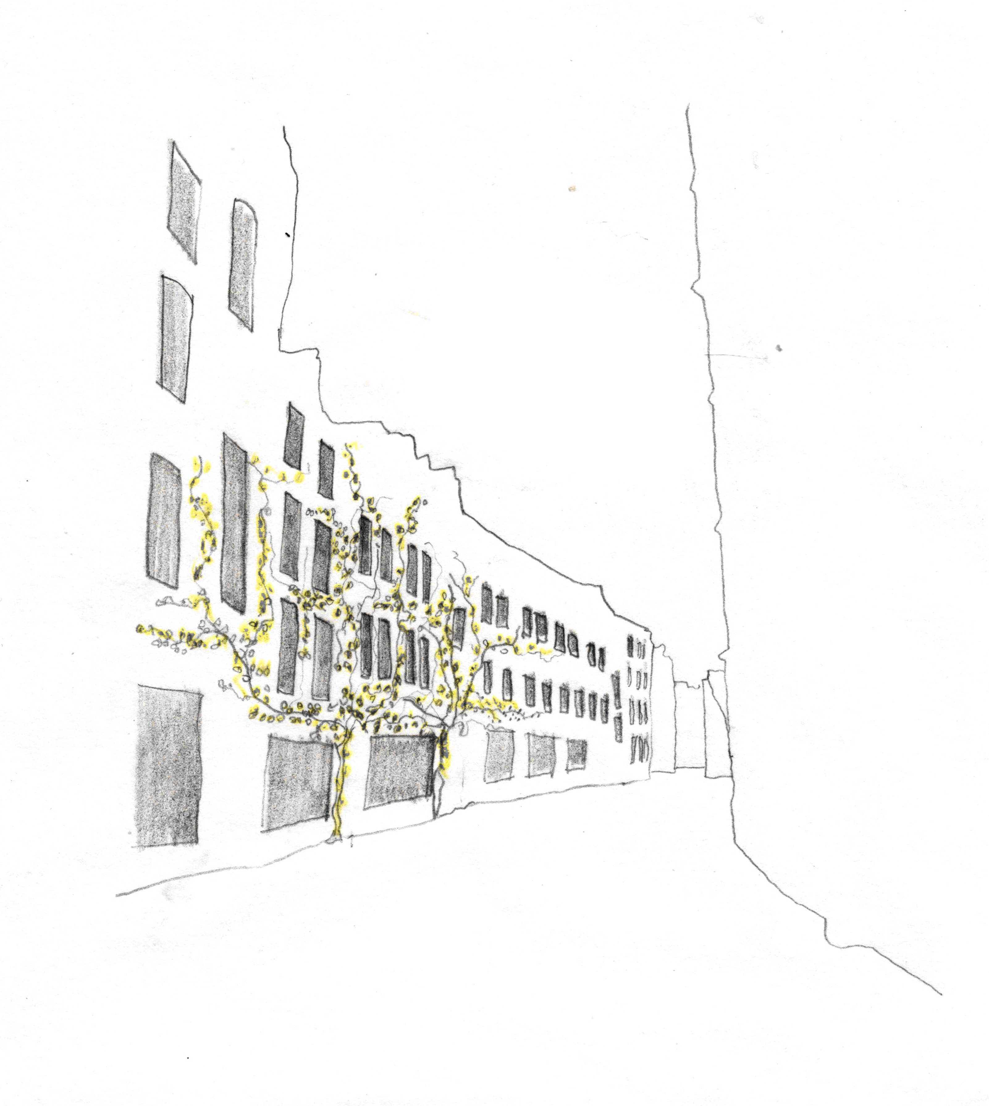 Drawing of a stretch of building with many windows.