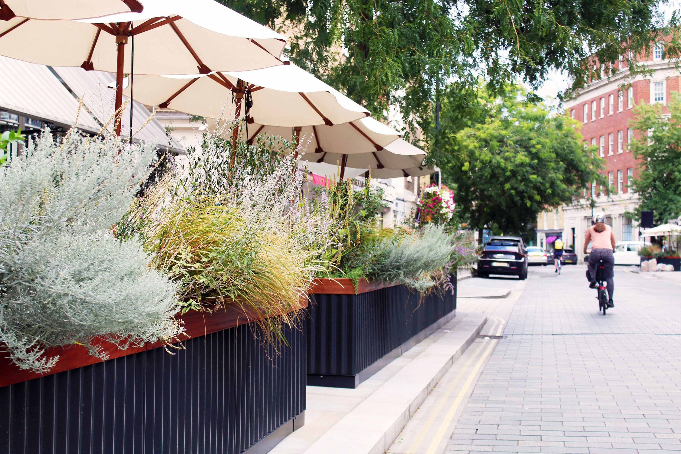 A photograph of a road lined with black planters and bushy plants with a cyclist riding down the road.
