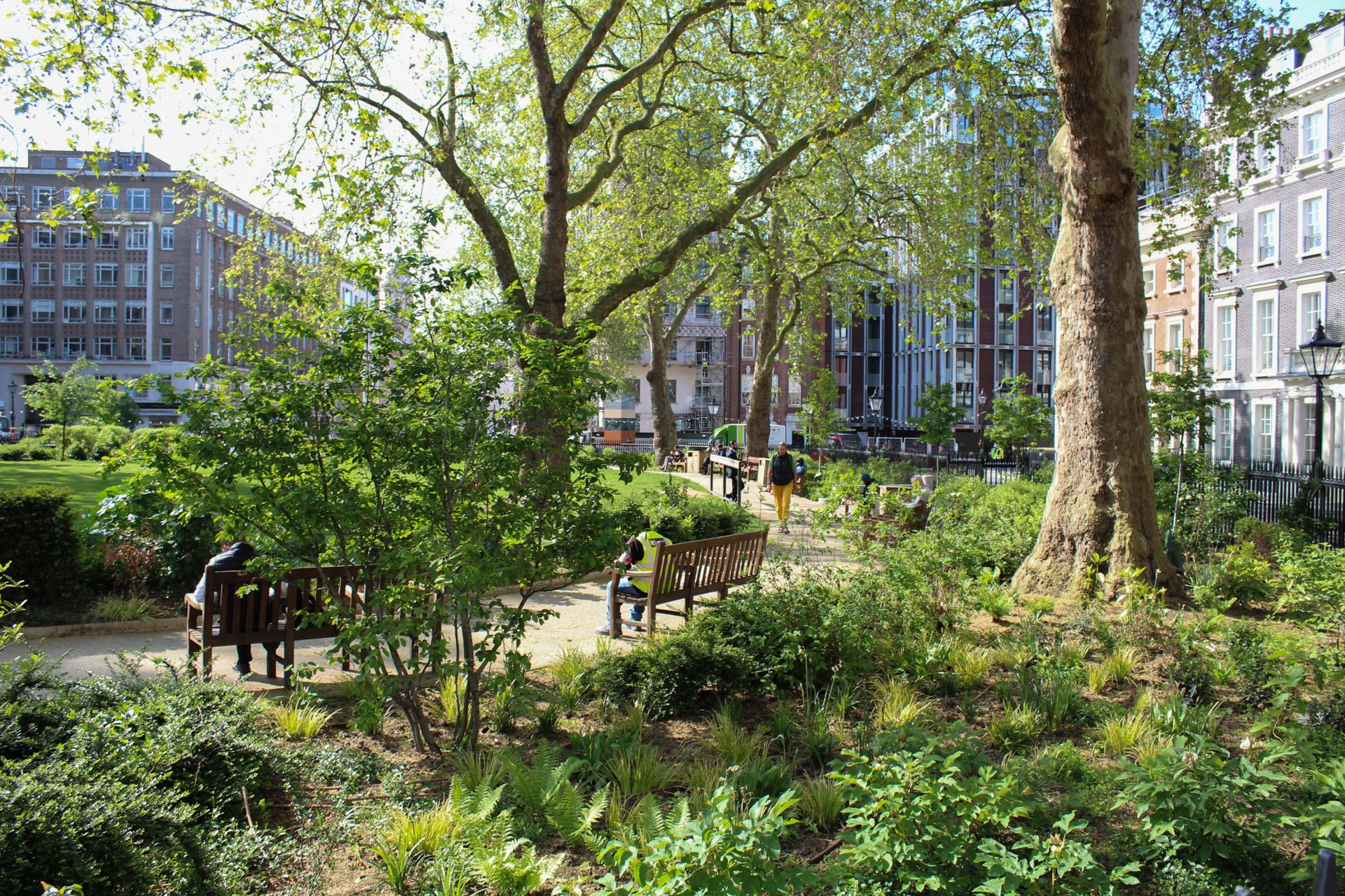 Photo of a public park with bushy green grass and two large trees with people sitting on benches.