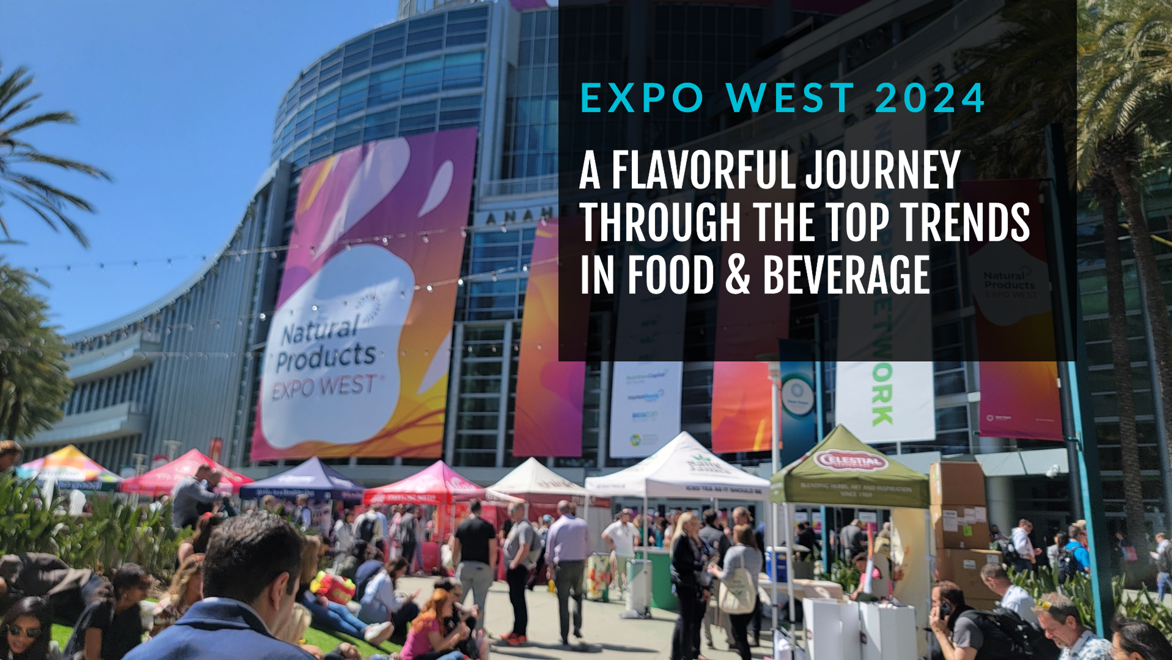 expo-west-2024-a-flavorful-journey-through-the-top-trends-in-food-and-beverage
