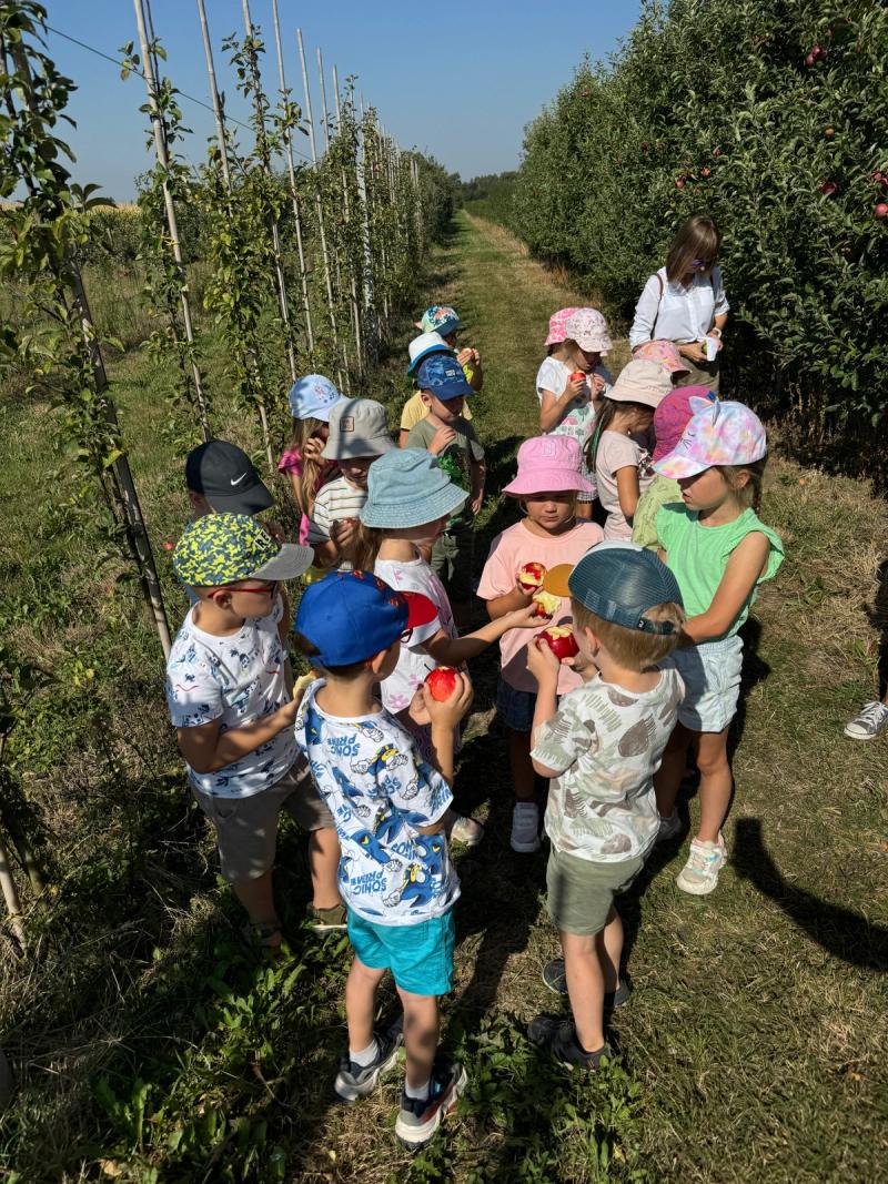dzieci w trakcie zajęć "Jesienny sad"