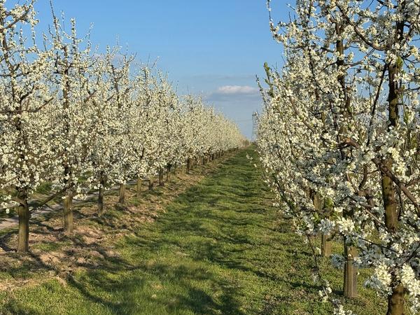 Warsztaty dla dzieci i rodziców!