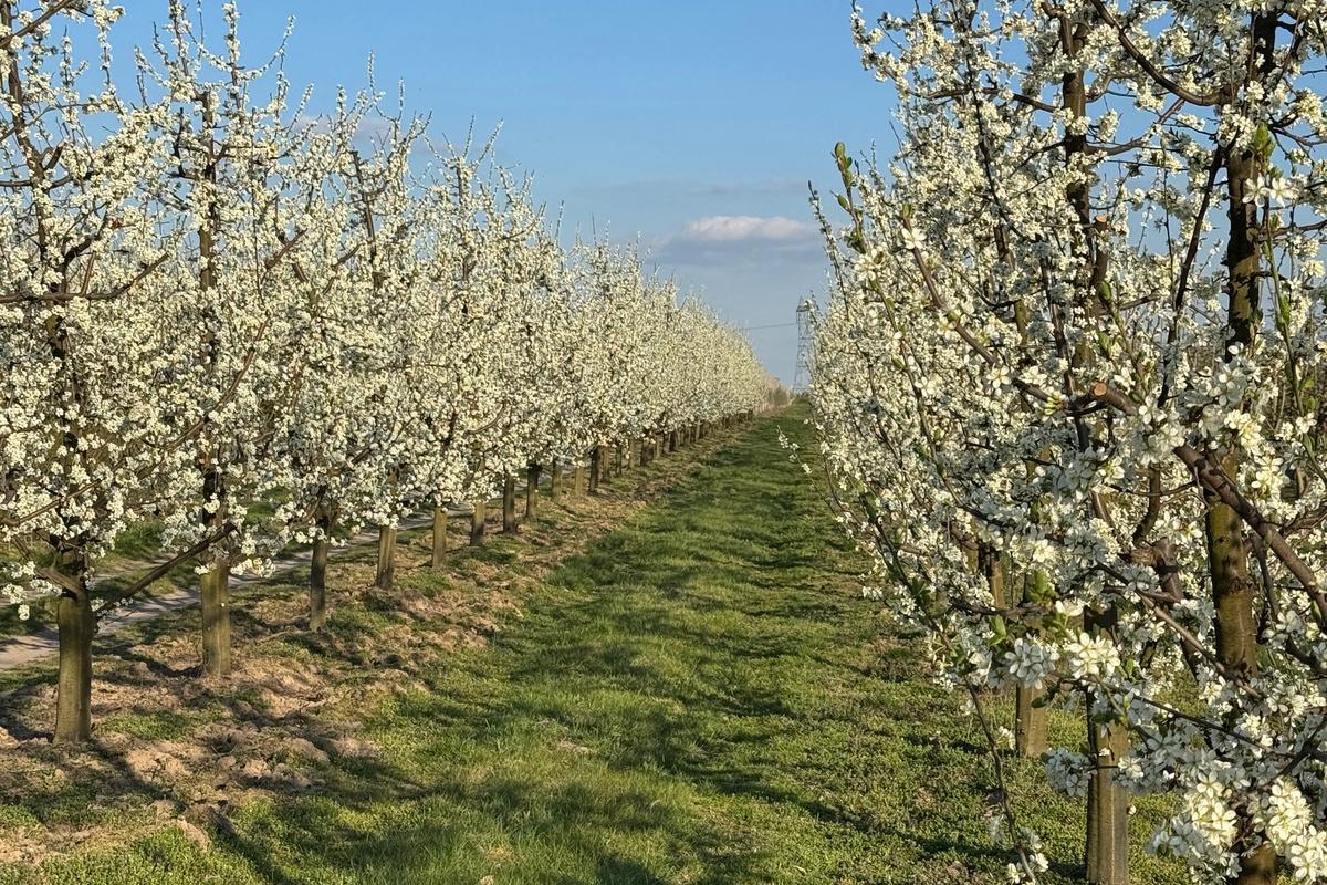 Warsztaty dla dzieci i rodziców!