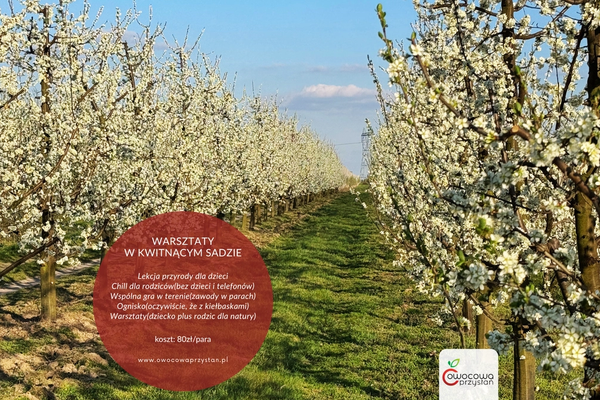 Razem w naturze. Zapraszamy na warsztaty!