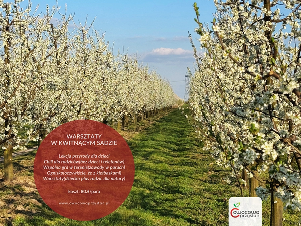 Razem w naturze. Zapraszamy na warsztaty!