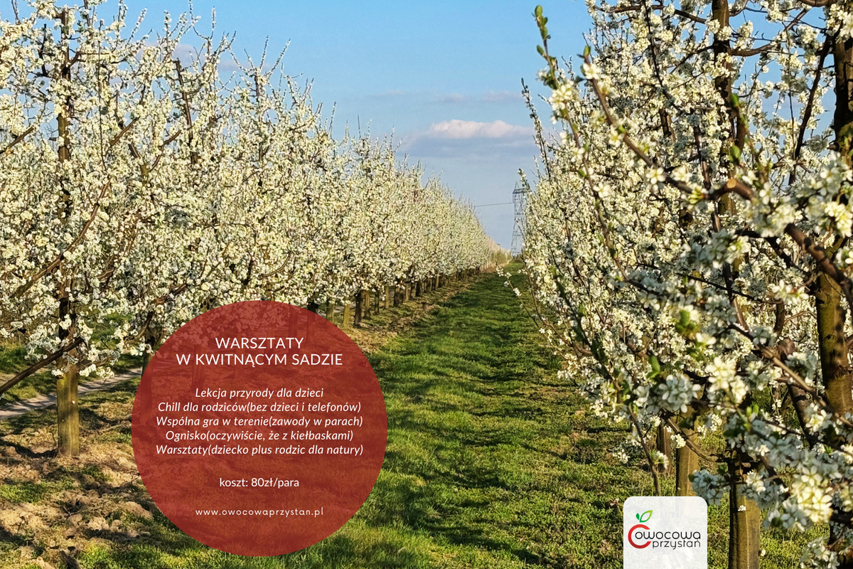 Razem w naturze. Zapraszamy na warsztaty!