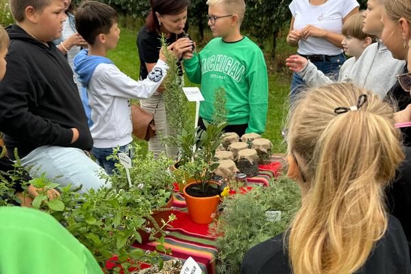 Dookoła wszędzie zioła