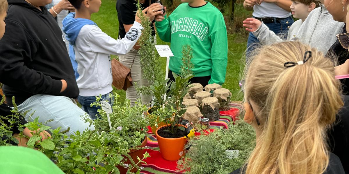 Dookoła wszędzie zioła