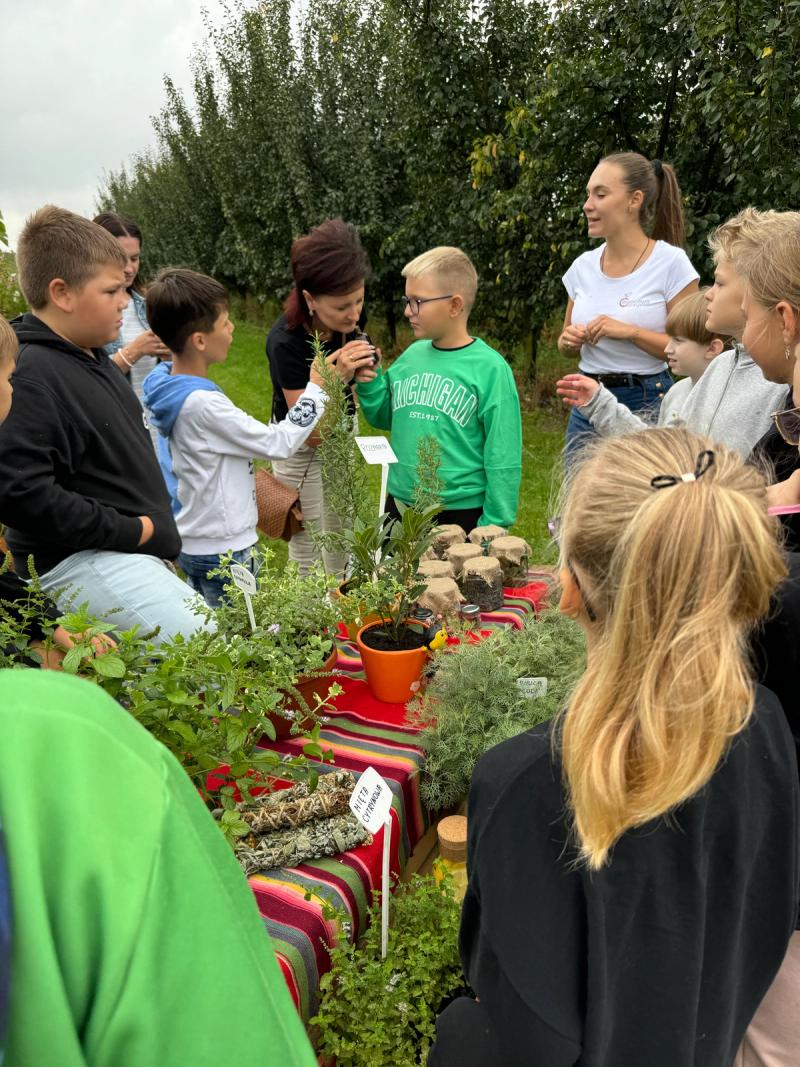 zajęcia w ziołowym zakątku