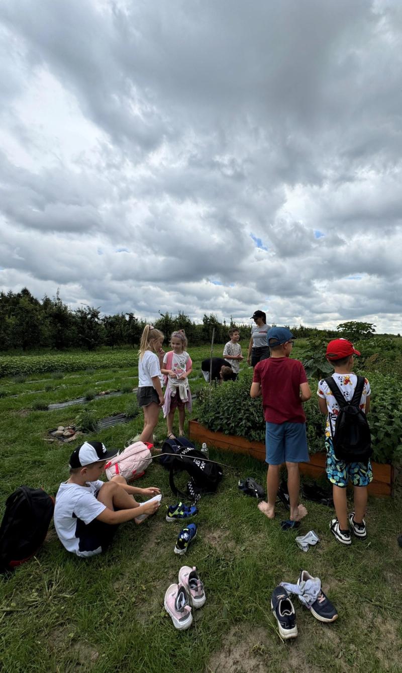 warsztaty zielarskie