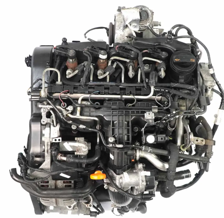 Article content image