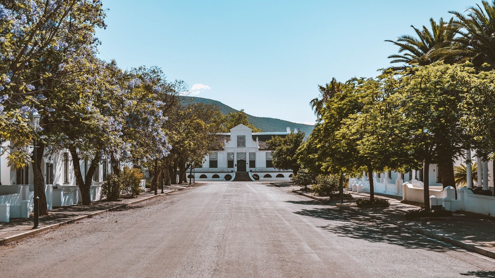 casa-da-ilha — listing image