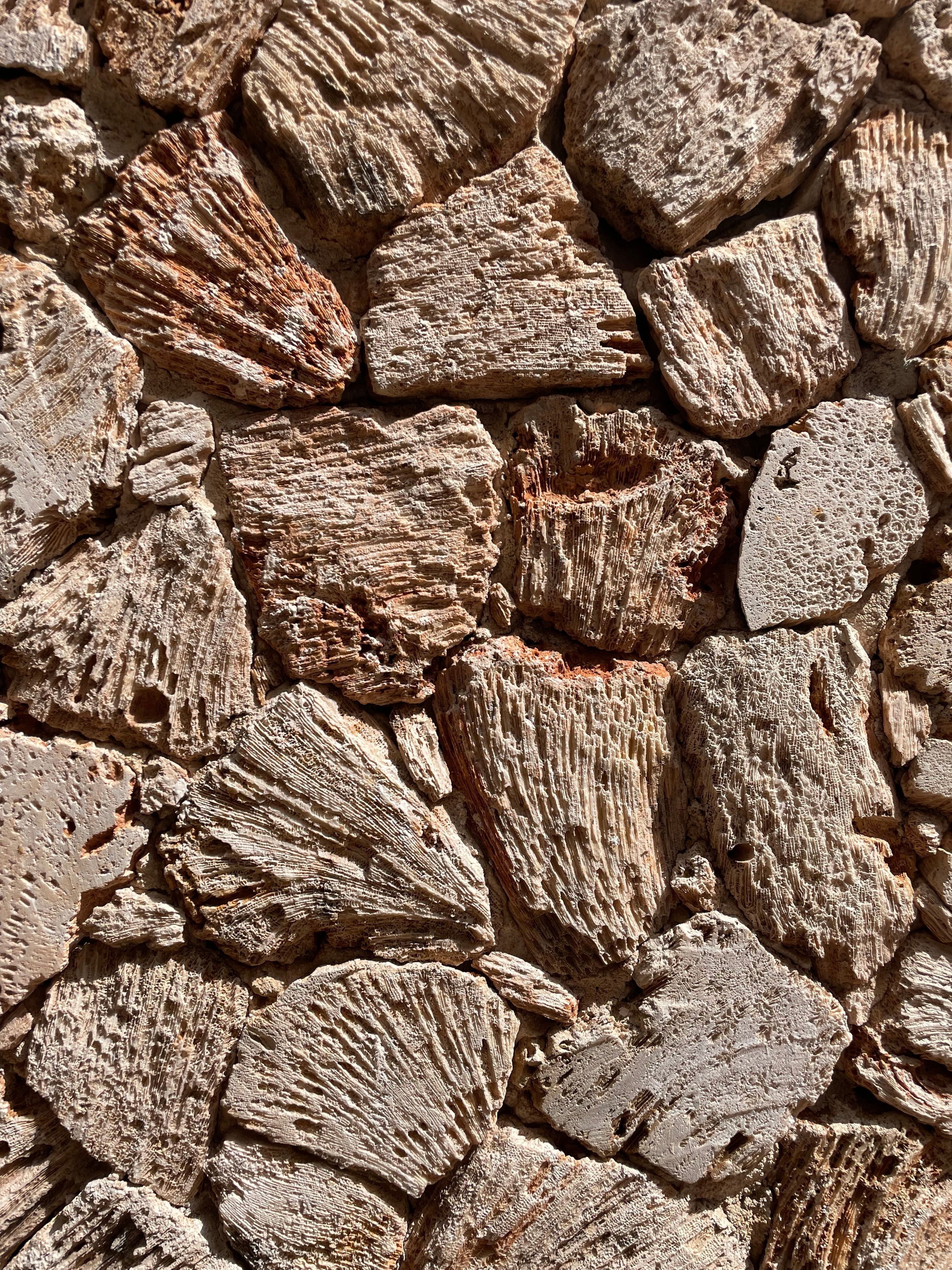 Globigerina limestone