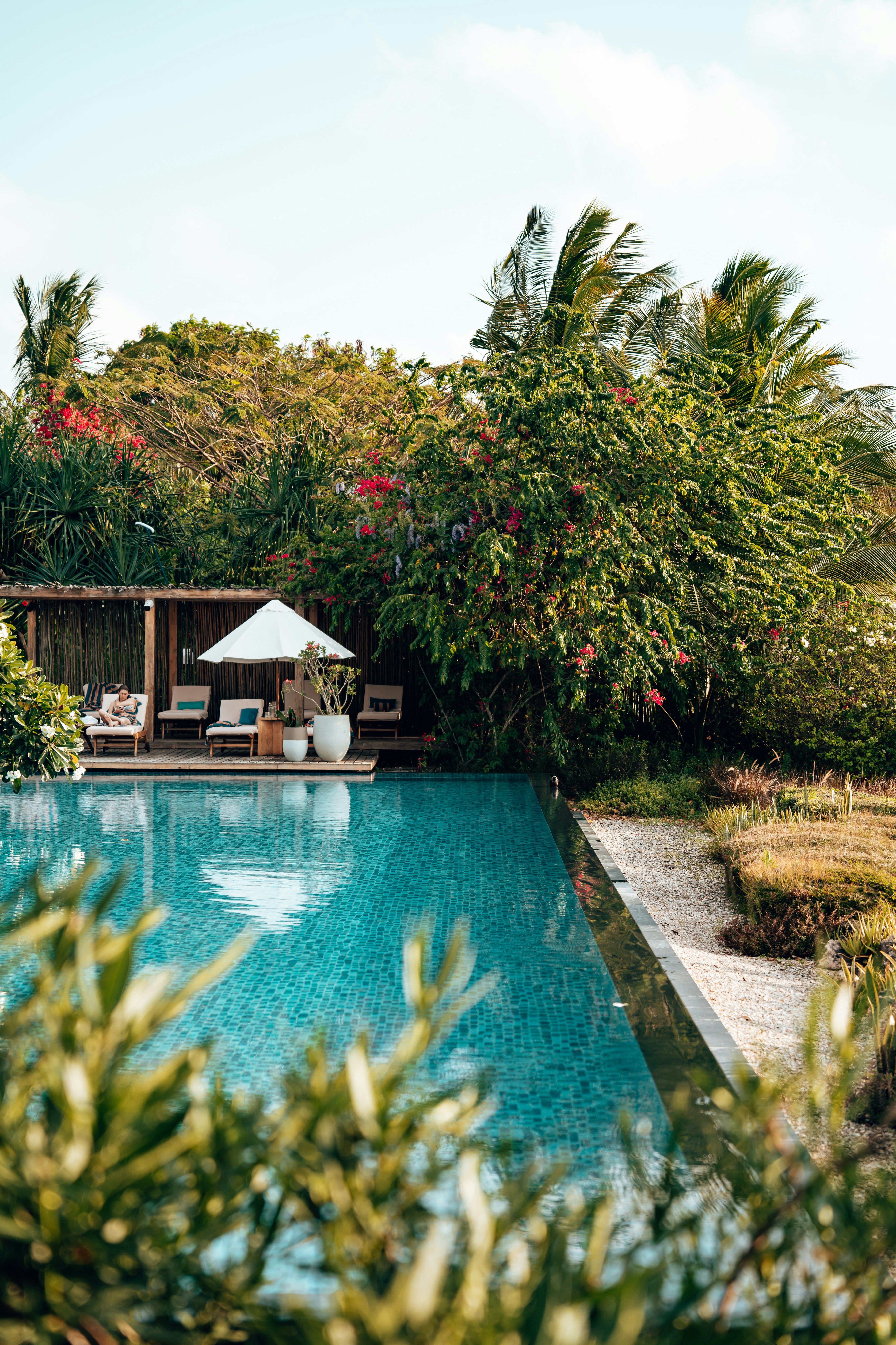 Garden courtyard with pool and dense tropical planting