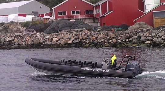 2020 Gemini Marine Waverider 1060