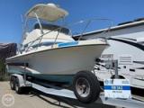 1982 24 Flybridge Sportsfisher