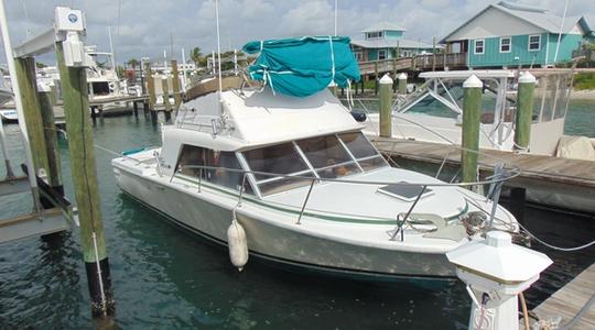 1986 Phoenix Boats Convertible