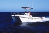 2004 Two Oceans Magnum 23 Power Catamaran Centre Console