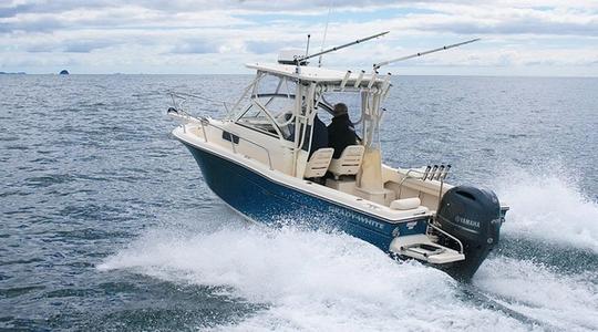 2022 Grady-White Adventure 208