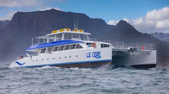2019 Two Oceans 110 Day Charter Power Catamaran