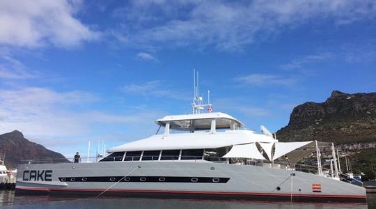 2016 Two Oceans 800E Power Catamaran II Cake