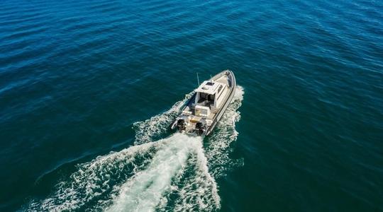 2022 Rayglass Boats Protector 380 Targa