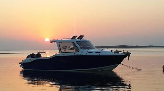 2019 Sensation Boats 30 Offshore