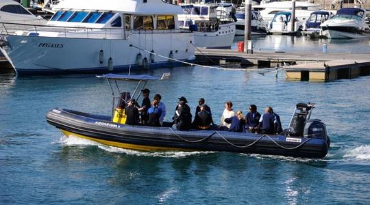 2021 Gemini Marine Waverider 880