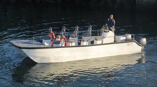 2004 Two Oceans Magnum 23 Power Catamaran Centre Console