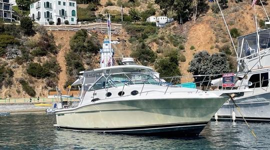 2005 Wellcraft 330 Coastal