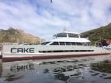 2016 Two Oceans 800E Power Catamaran II Cake
