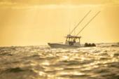 Yellowfin 34 Offshore running in calm water at sunset with twin outboards