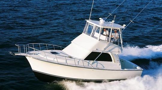 2022 Henriques Yachts 35 Flybridge