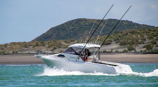 2023 Caribbean Boats C2400