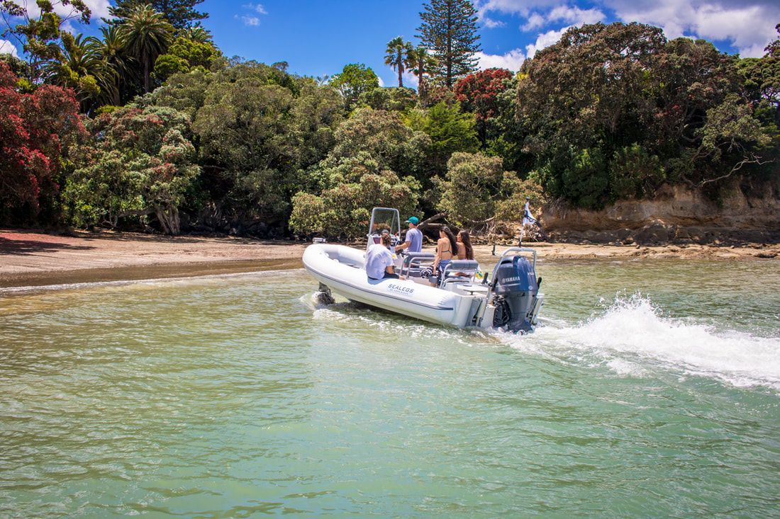 2022 Sealegs 7.1M Sport RIB