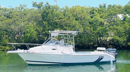2001 Cobia Boats 270 Walk-Around