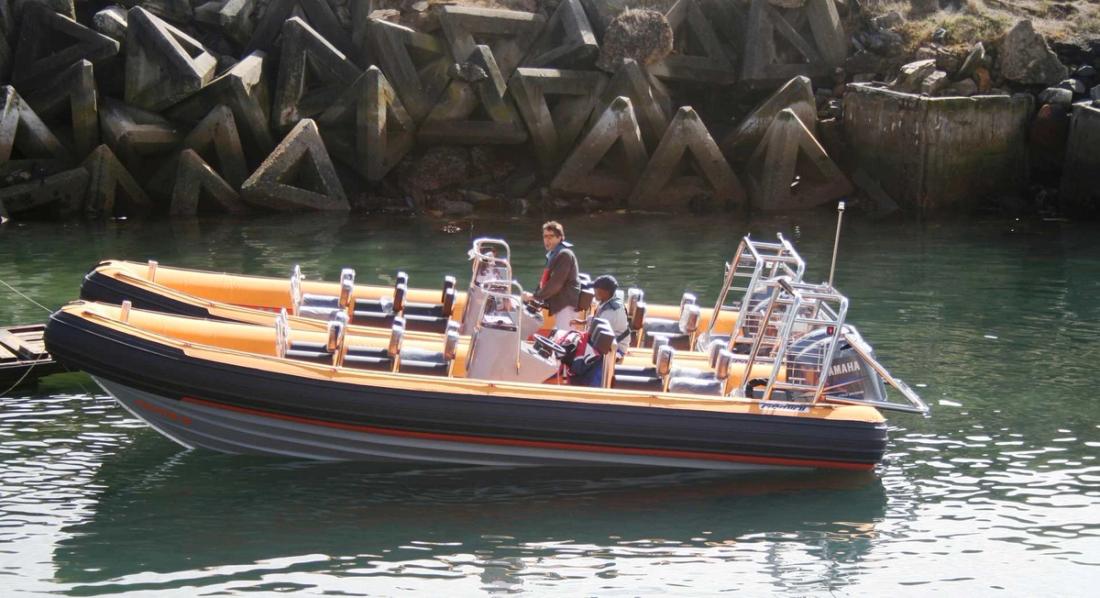 2021 Gemini Marine Waverider 780