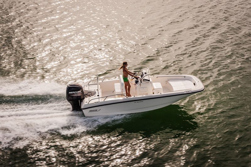 2017 Boston Whaler 170 Dauntless