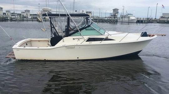 1989 North Coast 31 Special Edition Express