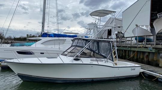 2000 Carolina Classic 28 Express