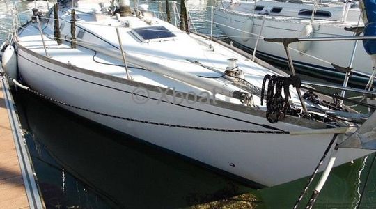 1974 Carter Optimist 37