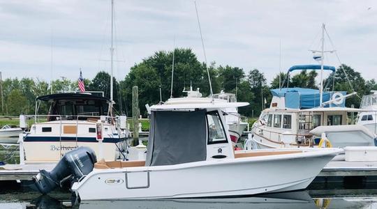 2020 Sea Hunt Ultra 239 SE